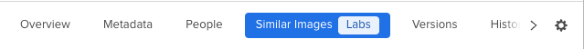 Similar Images Tab.png