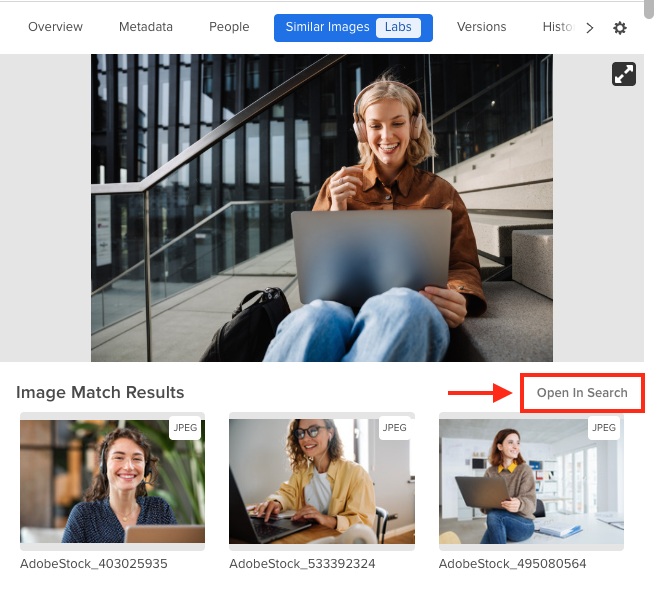 Image Results in the Asset Panel.png