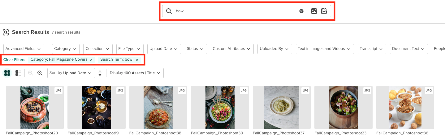 Search within Category with Search Term.png