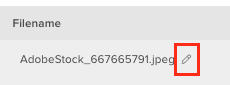 Rename File Name.png