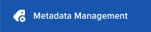 Metadata Management Tab.png