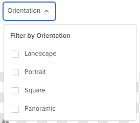 Orientation Filter.png
